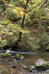 Obraz premium Ravennaschlucht Südschwarzwald Deutschland