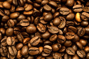 Roasted coffee beans