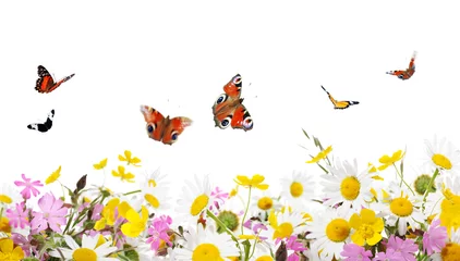 Crédence de cuisine en verre imprimé Papillon flowers and butterflies