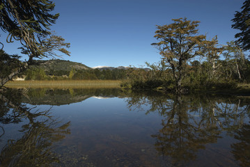 reflected in the lake 2