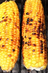 Grillen - Maiskolben
