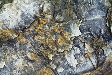 Stone texture 83