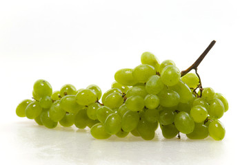 The vine is on a white background