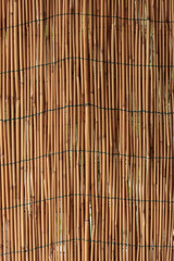 Reed wall