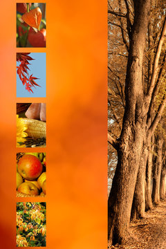 Herbst Farben