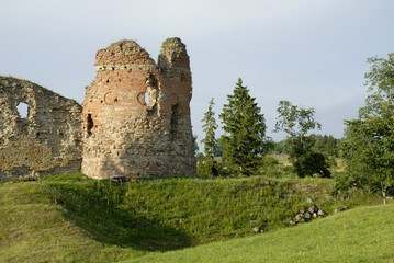Fototapeta na wymiar Landscape with ruins (Europe, Estonia)