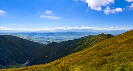 Beautiful landscape with forrest and mountain in background
