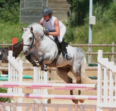 poney &agrave; l'obstacle