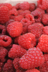 Delicious raspberries in close-up