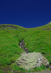 grüne Wiese mit blauem Himmel Grindelwald