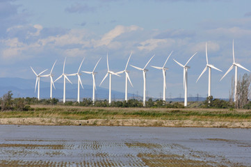 éoliennes de Camargue 46