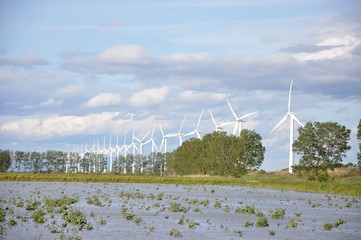 éoliennes de Camargue 31