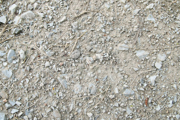 Pebble and small rock on the ground.