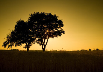 Zachód słońca na wsi © sitriel