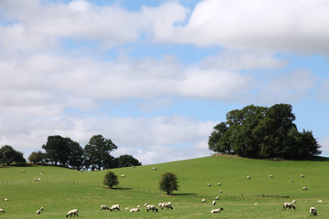 Rural Countryside Midlands