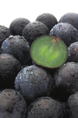 葡萄（種なし巨峰）