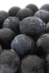 葡萄（種なし巨峰）