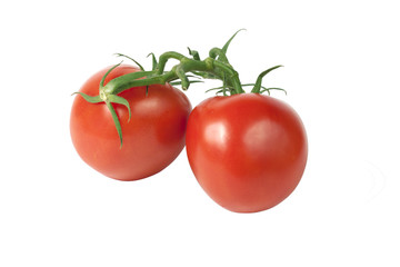 Tomatoes