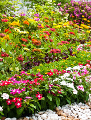 flora garden - 25644636
