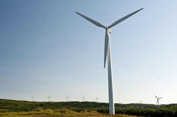 Large windmill