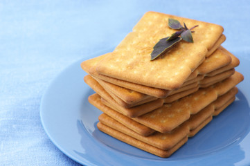 Crackers with basil in plate
