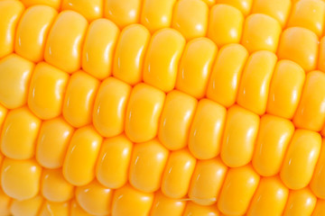 Corn cob