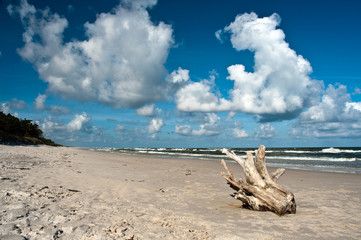 Plaża nad Bałtykiem