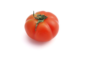 Tomate