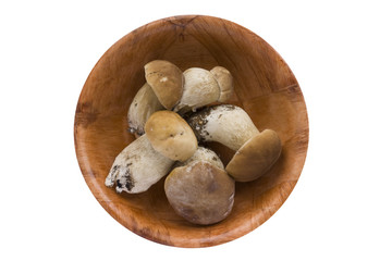 Wood mushrooms in a round wooden plate. Isolated on white