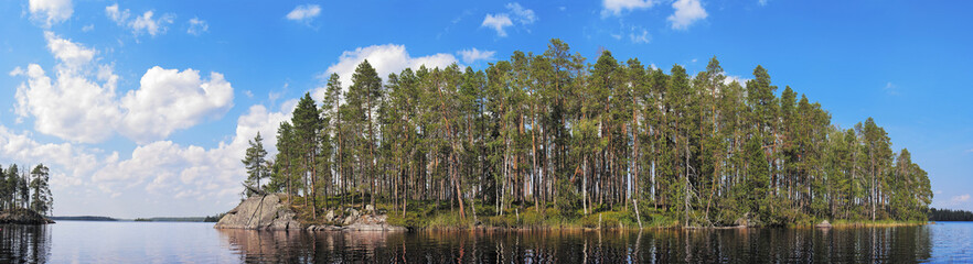 pine forest island