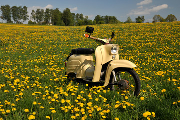 Fototapeta premium Moped Schwalbe