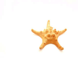 Marine star
