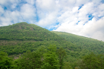 Summer in Tropical Mountains