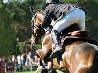 concours hippique