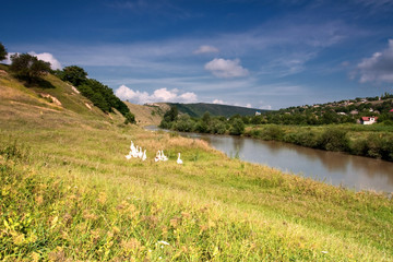 landscape with river