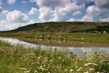 landscape with river