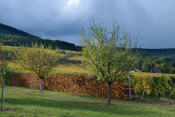 Madera cortada