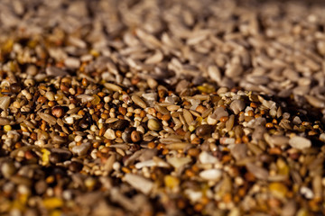 Bird seed
