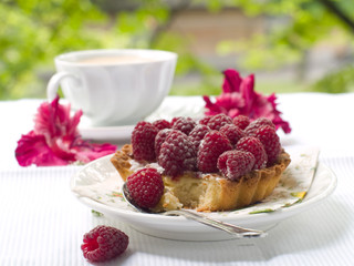 fresh raspberry tart