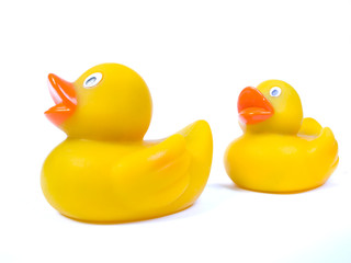 Two rubber ducks