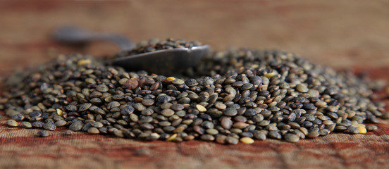 cuillère de lentilles