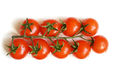 Cherry tomatoes covered drops