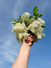 Bouquet of cherry blossoms in the woman's hand against the sky.