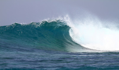vague vierge aux Maldives