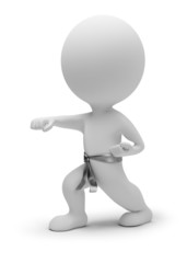 3d small people - karate © Anatoly Maslennikov