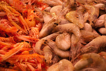 shrimps