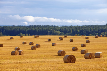bales of hay