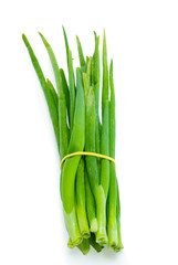 Green onion isolated on the white background