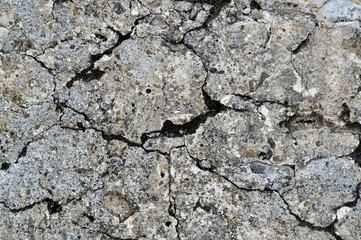 Concrete with heavy cracks and moth