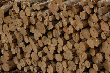 Log Pile